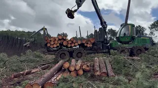 COME with me to see the efficiency in action of our john deere harvester 1270g and the forwarder1510