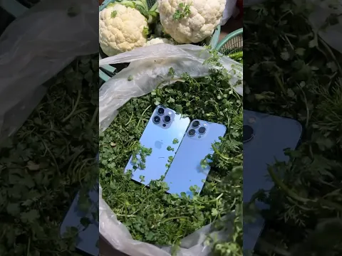 धनिया में निकला iPhone 15 pro max 😳! #shorts #viral #iphone