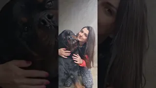 My Rottweiler Better half of me 🩵 🥰 😂🥰