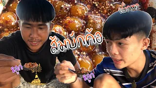 เมนู ส้มบักค้อ ปีนสดๆจากต้น คำโอ๊ะๆแสบดาก!!! : หนองแกอินดี้EP.1