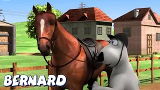 Bernard Bear | Horse Riding! AND MORE | Cartoons for Children | Full Episodes