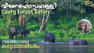 Coorg Forest | Veeranahossahalli Safari in Nagarhole Tiger Reserve.