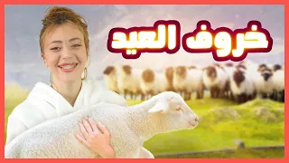 خاروف العيد بالشارع و الي بيحزر وزنة بيربحه