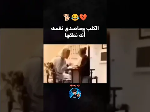 الكلب مش مصدق 🐶😂💔 #ضحك#ميمز#اكسبلور#لايك#اشتراك#كلب#حيوانات_أليفة#dog#iloveyou