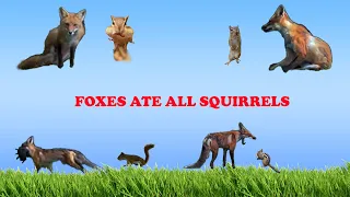 Look how #fox is eating the #squirrels and #chipmunks in backyard!!