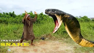 the giant snake //real house of comedy// ft chukwuemeka tv