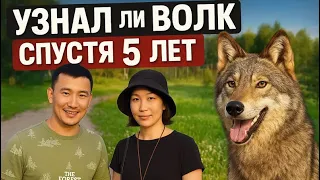 Кто бы мог подумать 😱 Долгожданная встреча, самого СВИРЕПОГО ВОЛКА В МИРЕ‼️