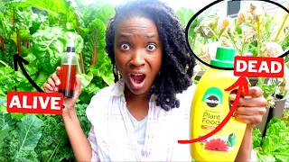 EXPOSING 6 FREE Fertilizers that will  RUIN Big Pharma | (How I Never BUY Fertilizer for my Garden)