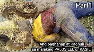 Ang Paghahanap at Paghuhuli sa Super Laki na EEL, Palos, or Igat Part 1