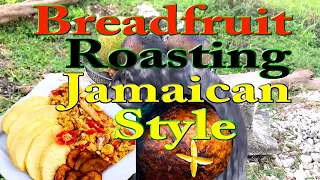 Breadfruit roasting on an open fire Jamaican style, real country life style. Jamaica