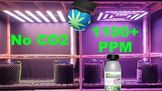 CO2 Comparison Grow Journal - Ep 1 - Wedding Cake In Coco