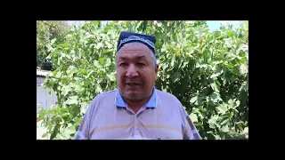 2022 ЙИЛ УЧУН ПАХТАНИНГ МИНИМАЛ НАРХЛАРИ ЭЪЛОН ҚИЛИНДИ