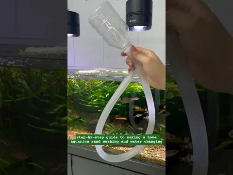 step-by-step guide to making a home aquarium sand washing and water changing