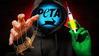 The Satisfying Downfall Of Peta