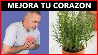 Esta infusión protege tu corazón, mejora tu memoria y también tu digestión