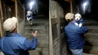 There's No Better Welcome Than A Dog's Welcome