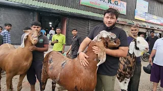 Kurla Main Laga Mela India Ke Sabse Bade Bakre Dekhne Ke Liye | Al Ahmed Goat Farm.