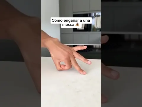 Cómo engañar a una mosca 💀