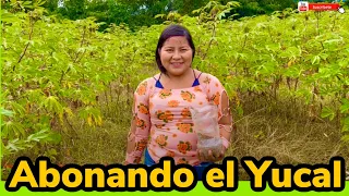 ✅COMO ABONAR una PLANTACIÓN DE YUCA (yucal)‼️ #elsalvador #campo #yuca #vidadecampo  #salvadoreños