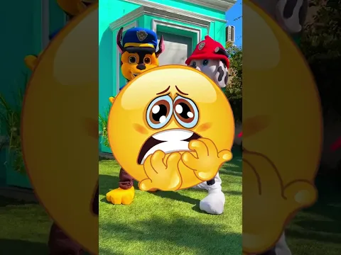 ESTE ES EL DISPOSITIVO QUE USAN LOS PAW PATROL