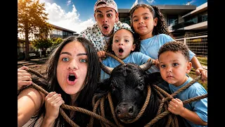 DESCOBRIMOS QUEM É O BOI DA CARA PRETA 😱 🐂 We’ve discovered who the "Black-Faced Boogeyman" is. 😱 🐂