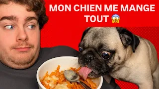 BEST OF ALBERT ME MANGE TOUT !
