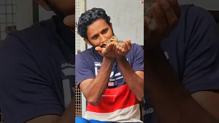 കോഴിക്ക് അട വെച്ച മയിലിന്റെ മുട്ടക്ക് എന്ത് സംഭവിച്ചു?🦚🤩🔥#peacockegghatching