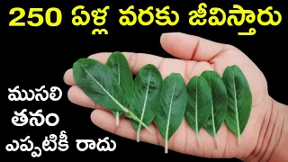 లక్షలు విలువ చేసే మెడిసిన్ కూడా ఫెయిల్ వీటిముందు, భూమి మీద లభించే అమృతం ఇది, ఎక్కడ లభించిన వదలొద్దు