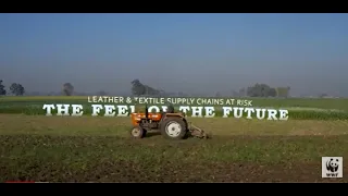 Leather and Textile Supply Chains at Risk - The Feel of the Future