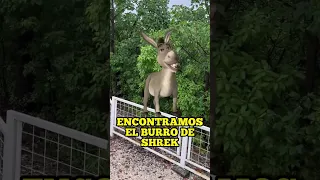 ENCONTRAMOS EL BURRO DE SHREK😨 #spiderman