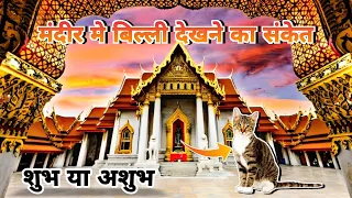 मंदिर मे बिल्ली देखना किस बात का संकेत होता है 😳 | What is the sign of seeing a cat in the temple