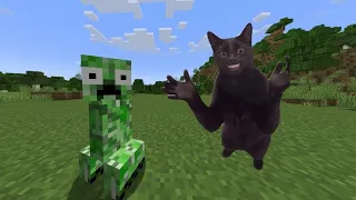 Unusal Minecraft moments part 5