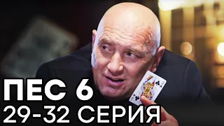 Сериал ПЕС 6 СЕЗОН - 29 - 32 серия - ВСЕ СЕРИИ ПОДРЯД | СЕРИАЛЫ ICTV
