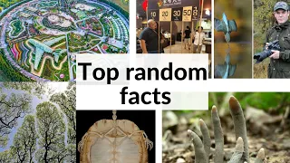 Top random facts @FactTechz  @ItsFacts