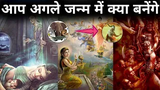 आप अगले जन्म में क्या बनेंगे गरुण पुराण 😟 Factoboy07 #shorts #youtubeshorts