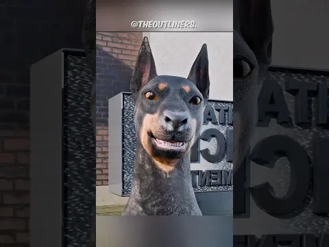POR QUE os DOBERMANS têm ORELHAS CORTADAS e RABO AMPUTADO? 😱 #shorts #curiosidades