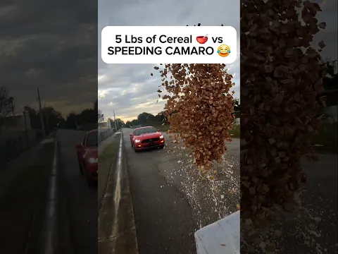 Throwing 5 Lbs of CEREAL 🥣 at Felony Speeder in School Zone 🤬