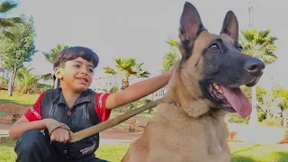 قصة الوفاء التي أبكت المغاربة... الكلب الوفي💔😢