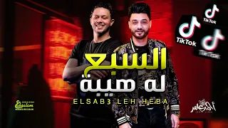 تريند التيك توك / السبع ليه هيبه لو راسه كانت شيبه / احمد عامرو عبسلام / شعبى جديد 2022