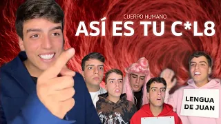 Recopilación del cuerpo humano PT3