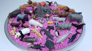Ai Animals & lots of zoo animal figures - made by sora ai