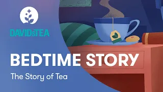 DAVIDsTEA & BetterSleep Present the Story of Tea
