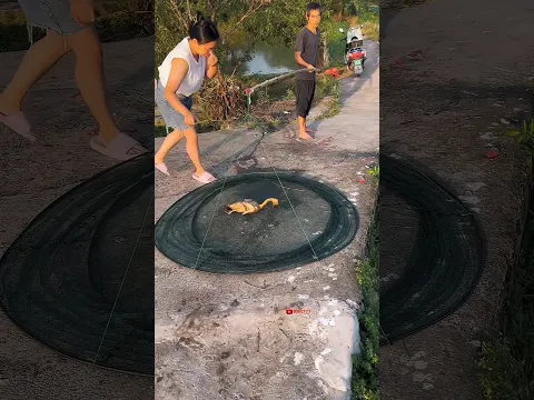 amazing fishing video 🤣 #funny #funnyvideo
