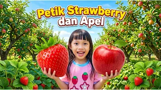 Petik Strawberry dan Apel 😍 Seru Banget‼️ #idebermainanak #wisataalam #petikbuah #strawberry