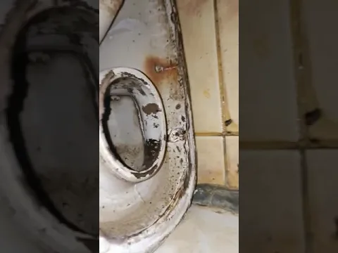 لديك مشكلة في ارتفاع كرسي الفرنجي الحمام هنا الحل مرحلة 3