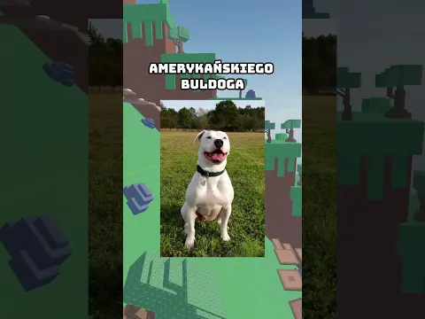 CZEMU LUDZIE W TYCH CZASACH DAJĄ TAKIE DZIWNE IMIONA SWOIM ZWIERZĘTOM? #roblox #rblx #robloxrant