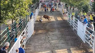 ⚠️🙆🏻‍♂️SUSTO EN 📍MARCHAMALO (GUADALAJARA)