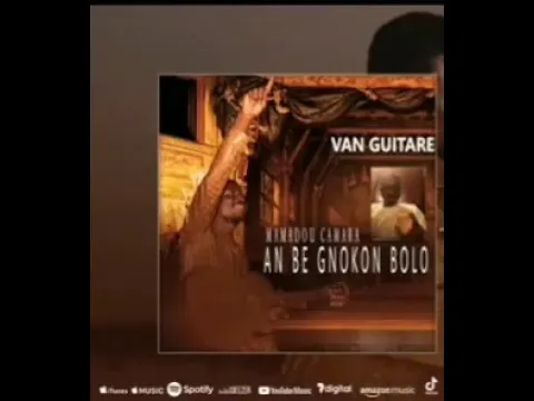 VAN GUITARE  nouveau son 2023