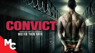 Wrongfully Put In Prison | Convict | Action Drama | Full Movie