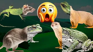 Rida 3D Live Now 😲 Animation Cartoon 3D Video 😍